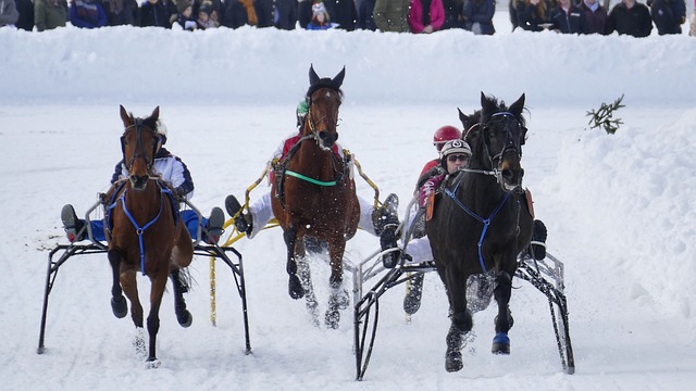 罗马诺：去年冬窗曼联引进埃德松未果，现在他已经大降价了