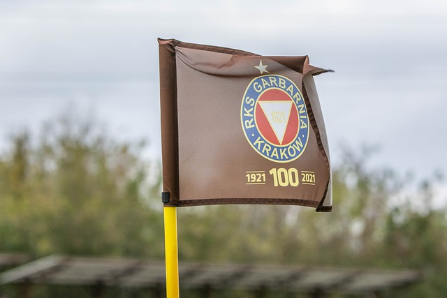 记者：海港抵达武里南，莱昂纳多、加布、李帅、刘若钒伤缺